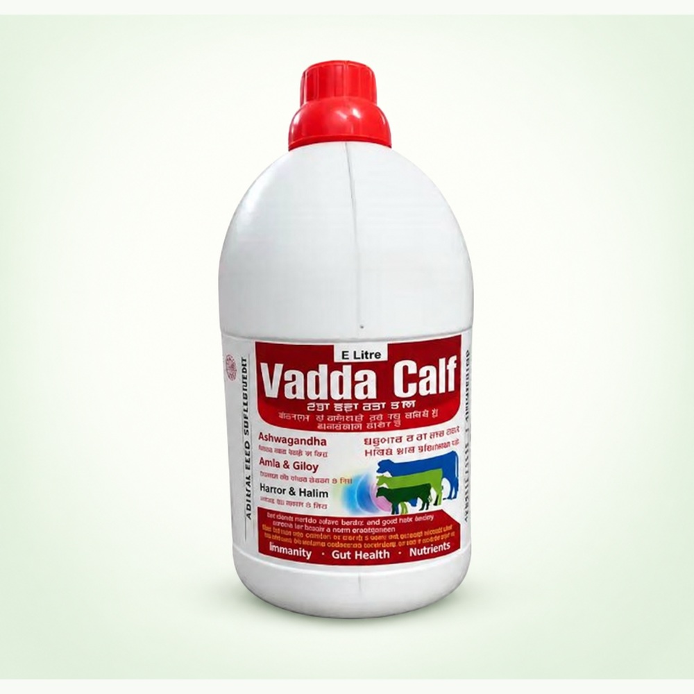 Vadda Calf