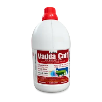 Vadda Calf – Herbal Growth & Immunity Supplement for Calves